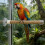 (16cm) Suction Cup Parrot Perch Window Portable Shower Perch Interactive Rope Toy Cage Accessory 4