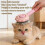 (Green) Soft Round Teeth Cat Grooming Comb for Sensitive Skin 2