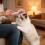 (Green) Soft Round Teeth Cat Grooming Comb for Sensitive Skin 3