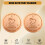 2pcs Bird Bath Purification Disk Purification Cleaner with Three-Point Support Safe Clean Water for Outdoor Birdbath 2