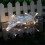 Pearl Garland String Lights 9.8FT 30LED Warm White 4