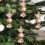 Gold Electroplated Plastic Christmas Pendants 12-Piece 5