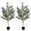 Homcom Plantas Artificiale Verde 15 x 15 x 150 cm 1