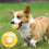 Solid Elastic Dog Teething Toy for Grip and Boredom Relief 4