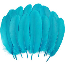 Colorful Feathers for Crafting 150 Pcs 5-7 Inches 14 Colors