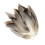Feathers for DIY Crafts 50 Pieces 4