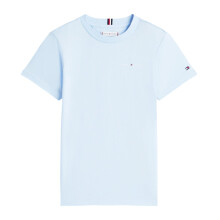 (12 Years, Sweet Blue) Tommy Hilfiger Childrens/Kids Embroidered Logo T-Shirt