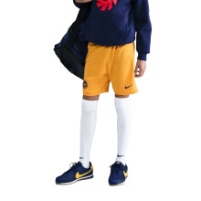 (9-10 Years, Gold/Blue) Nike Childrens/Kids Haaland Academy Regular Football Shorts