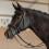 Oypla Oypla Coco Equestrian Rubber Bit Guard Discs Pair 2