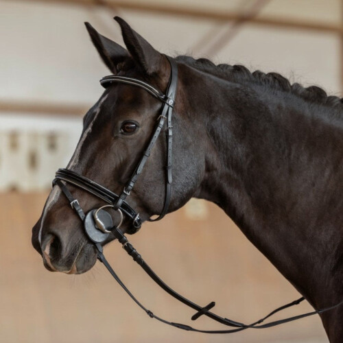 Oypla Oypla Coco Equestrian Rubber Bit Guard Discs Pair 1