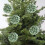 Glitter Mint Green Christmas Ornament Reusable 1 Piece 4
