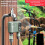 RF433 Dual-Channel Remote Control Automatic Watering Device Mobile Phone WiFi Timed Watering UK Plug 2