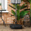 Outsunny Base de Sombrilla Negro 46 x 45 x 26 cm 5