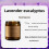 Aromatherapy Candle Soy Wax Smokeless Brown Cup 3 Pack 5