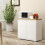 Homcom Aparador de Salón Blanco 80 x 37 x 75 cm 5