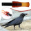 Crow Whistle Decoy with Realistic Sound for Hunting 7
