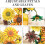 NAYIHOOP Sunflower Building Set Compatible with LEGO, 1000+ 2