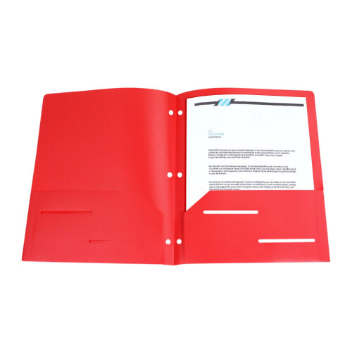 Heavy Duty Plastic Letter-Size File Folder with Multiple 2