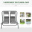Canopy Swing 2 Separate Relax Chairs w/ Handrails and Removable Canopy Grey 6