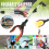 32" Foldable Garbage Pick Up Tool Grabber Reacher Stick Reaching Grab Claw Grip 2
