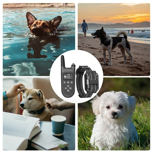 800M Electric Pet Dog Training E-Collar Anti-Bark Obedience Remote Control 1
