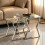 AINPECCA (Sliver Leg+Clear Class) Set of 2 Coffee tables 1