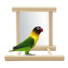 Parrot Bird Cage Mirror Toy – Interactive Hanging