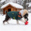Winter Warm Dog Vest Harness with Reflective Strips Size D 5