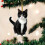 Black Cat Christmas Ornament Acrylic Round 1pc 1