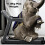 Electric Treadmill 2.0hp Motorised Folding Slim Line Running Machine Portable 7