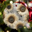 Rustic Barn Sunflower Ornament White Grey Wood 6