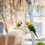 Parrot Bird Cage Mirror Toy – Interactive Hanging 4