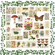 Vintage Nature Collage Stickers Retro Flower Butterfly
