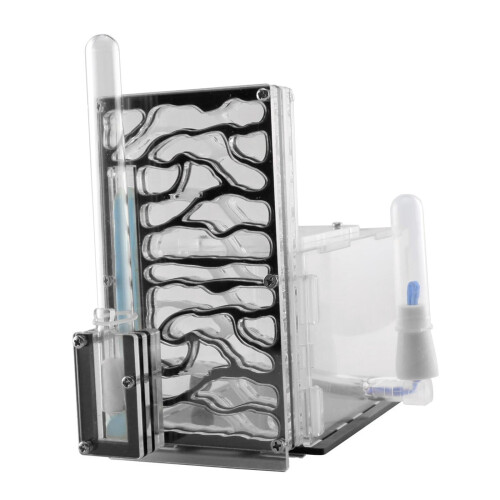 ANT Housing Nest Clear Display Box Black 1