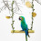 Parrot Perch Hammock Toy for Small Yellow Birds 7