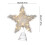 LED Five-Pointed Star Tree Topper Gold Silver 3