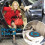 Car Seat Cushion for Elderly Foam 4D Swivel Support 5
