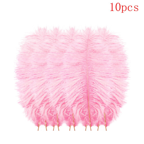 Ostrich Feathers Pink Multicolor 10 pcs