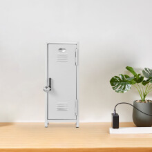 Rustproof Mini Locker with Lock and Key 1 Unit
