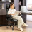 Executive Office Chair with Spring Padding - Black 4