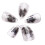 Pipa Nails PC for Musical String Instruments Brown S 5