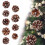 Natural Pine Cones with White Edges Christmas Ornaments Set 5