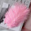 Ostrich Feathers Pink Multicolor 10 pcs 3