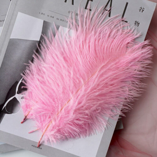 Ostrich Feathers Pink Multicolor 10 pcs 2