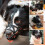 Dog Muzzle Soft Breathable Adjustable for Small Medium 1