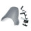 Motorcycle Windshield Windscreen for  Bear 650 2025- Gray 1