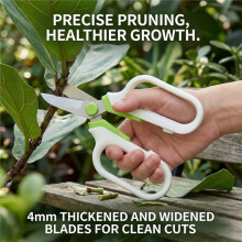 DELI Bloemstelen & Blad Scharen, Ergonomische TPR Zacht-Grip Handvat, 4mm RVS Bladen voor Tuinieren & Bloemschikken