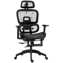 Multi-Adjustable Mesh Office Chair - Black