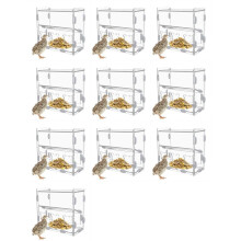 10X Voederbox voor Papegaaien Voerbak van Acryl Voerbak Zonder Rommel Meergatsvoerbak Doorzichtige Vogelvoerdispenserbox voor Vinkenpapegaaien