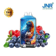 JNR Falcon X 28K Rechargeable avec 2x10ml E-liquide 20mg Saveur Myrtilles Framboises - Blueberry Sour Raspberry